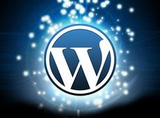 WordPress Services